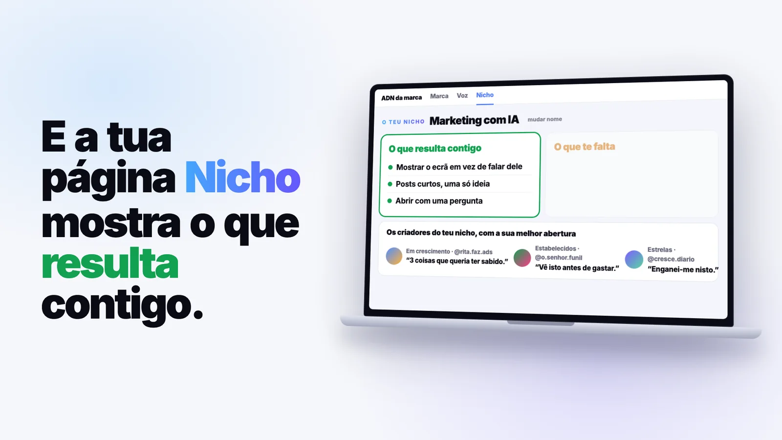 A página Nicho
