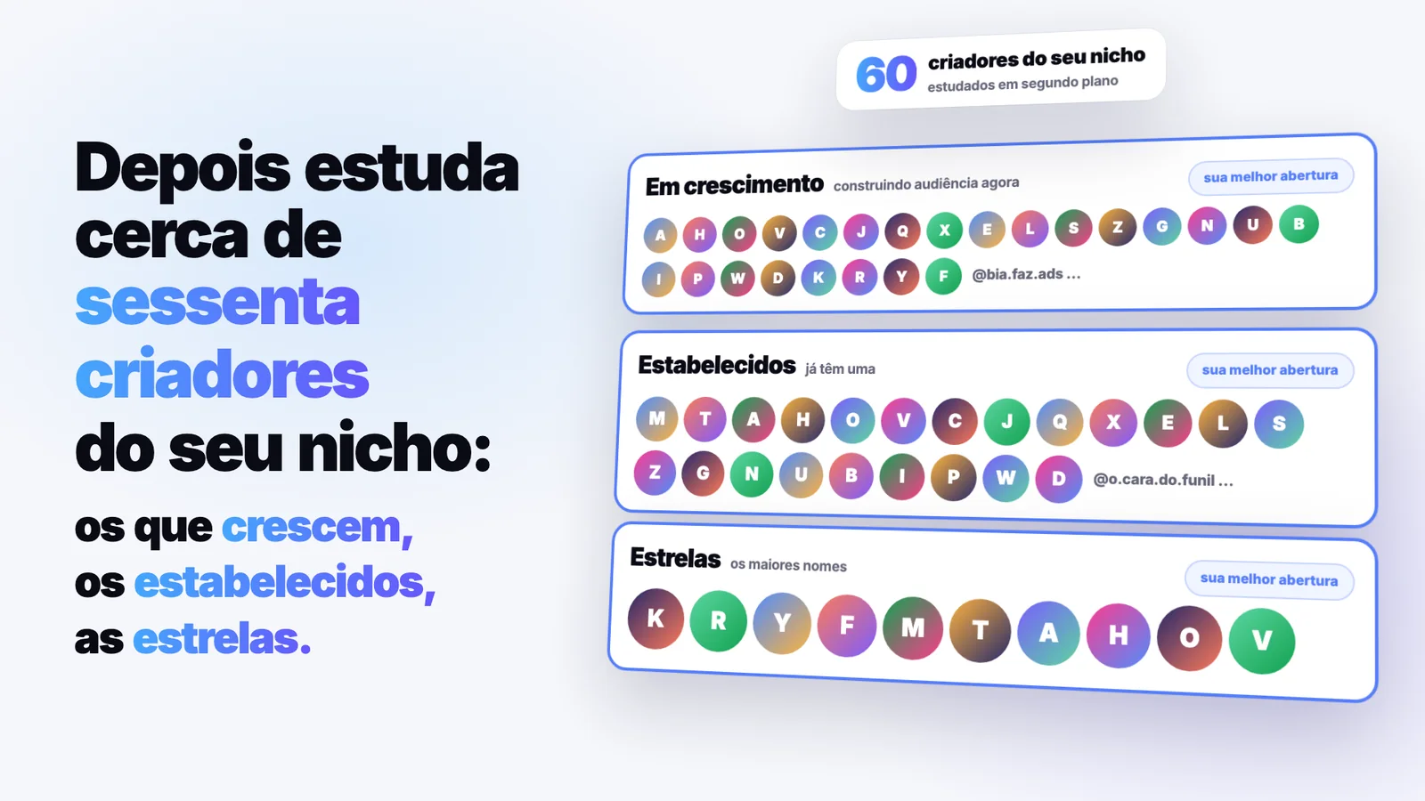 Seu nicho, em três tamanhos